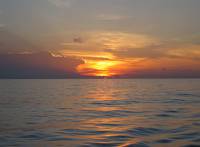 IMG_2552-JA