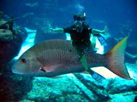 IMG_2573--1JA