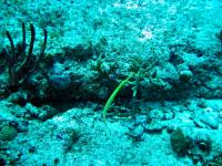 IMG_2574-JA