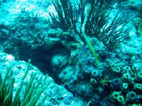 IMG_2575-JA