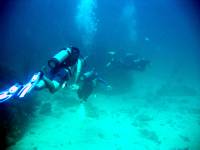 IMG_2592-JA Diving St Marten