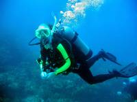 IMG_2597-JA Diving St Marten
