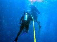 IMG_2632-JA Diving St Marten