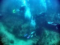 IMG_2633-JA Diving St Marten