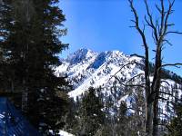 15-AcrossHoneyCombCanyon The peak from across Honey comb canyon