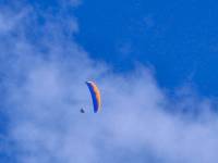 34-Paraglider Paraglider